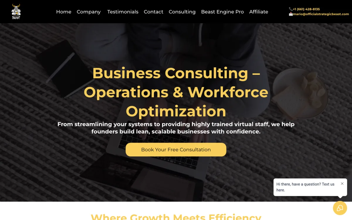 Business consulting build by Bishop Systems